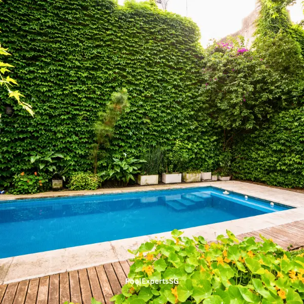 Private pool of a landed home in Bukit Timah, Singapore