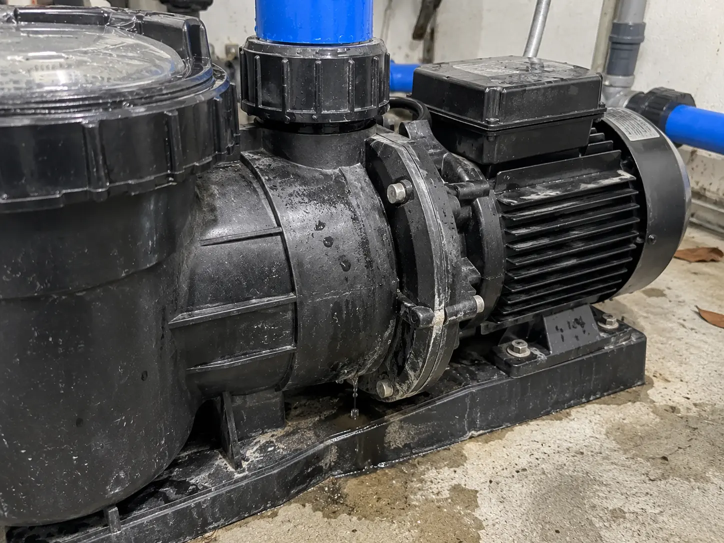 Water dripping from the shaft seal of a pool pump in a plant room